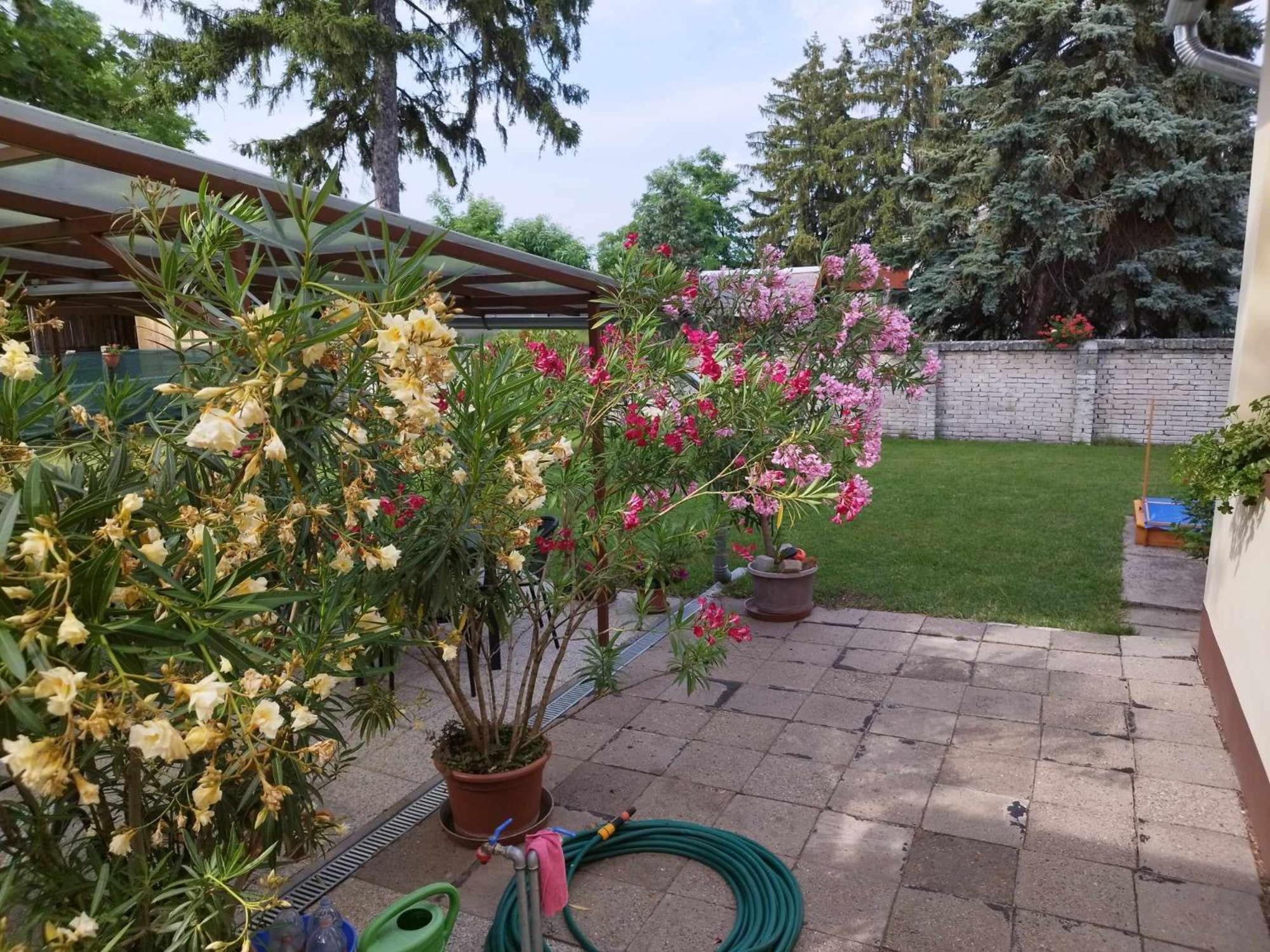 Tartos Szegfu Vendeghaz, Maganszallas Tazlar Exteriér fotografie