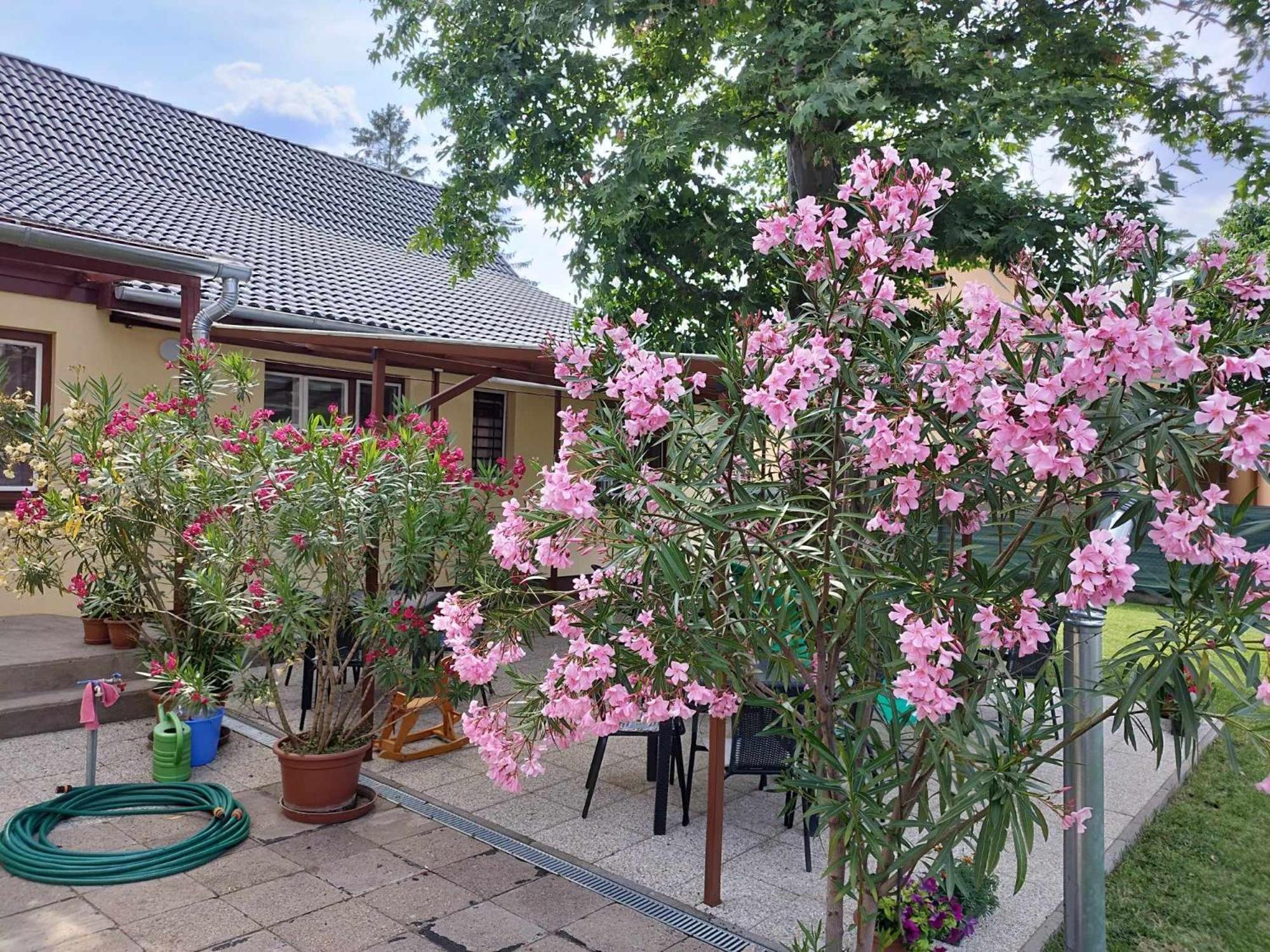 Tartos Szegfu Vendeghaz, Maganszallas Tazlar Exteriér fotografie